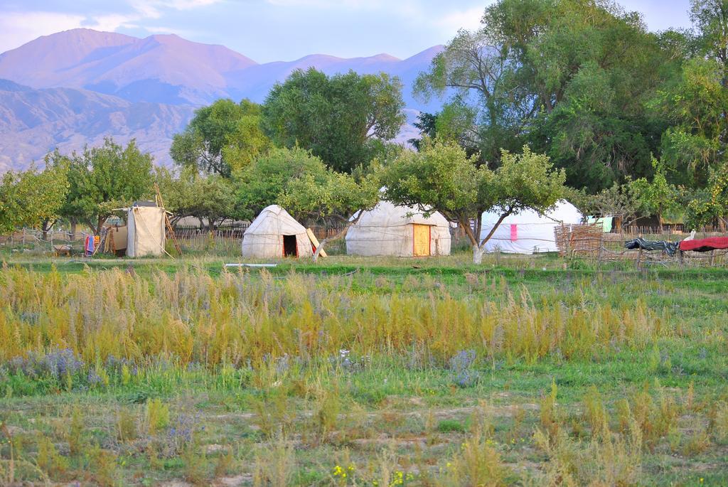 Jurten Camp Almaluu Tong Экстерьер фото