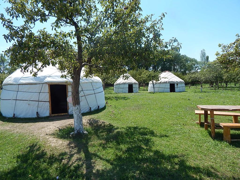 Jurten Camp Almaluu Tong Экстерьер фото